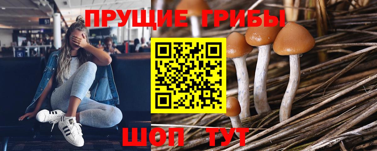 Псилоцибиновые грибы мухоморы  Вход с VPN  Юрга 