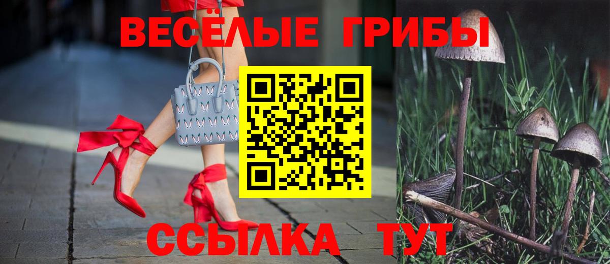 Галлюциногенные грибы ЛСД Юрга